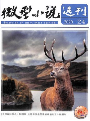 微型小说选刊期刊